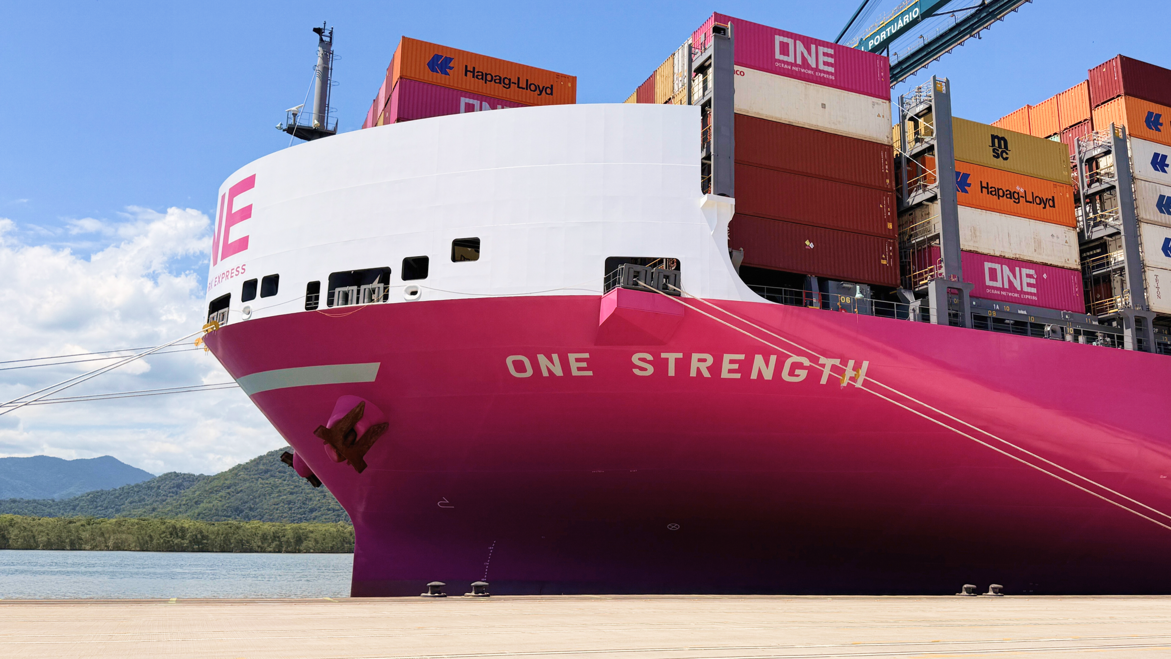 ONE Strength